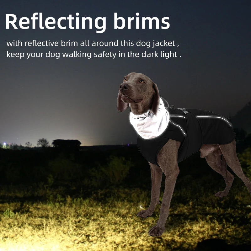 Winter Dog Jacket – Waterproof, Warm & Reflective Coat