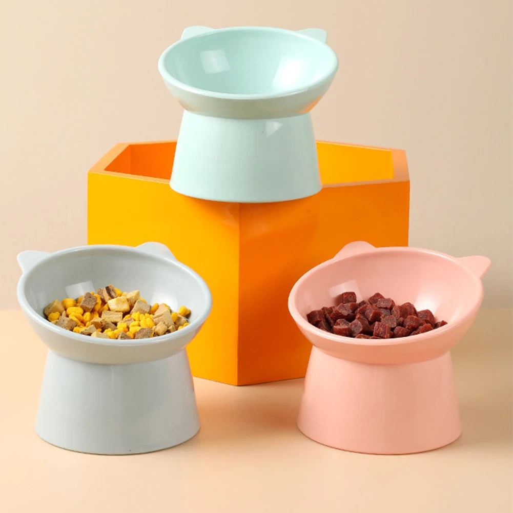 Ergonomic Elevated Cat and Dog Bowl