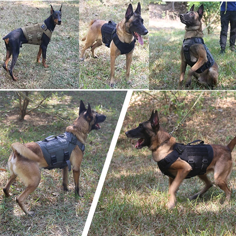 No Pull Tactical Dog Harness ELITE – Training & Outdoor K9 Vest