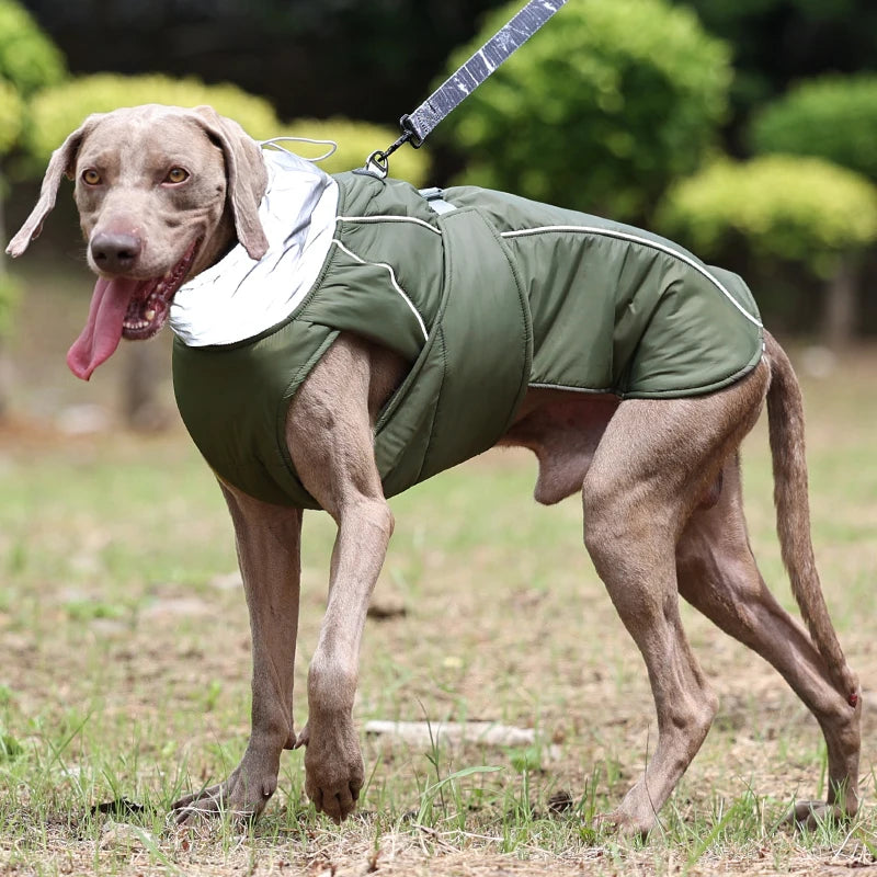Winter Dog Jacket – Waterproof, Warm & Reflective Coat