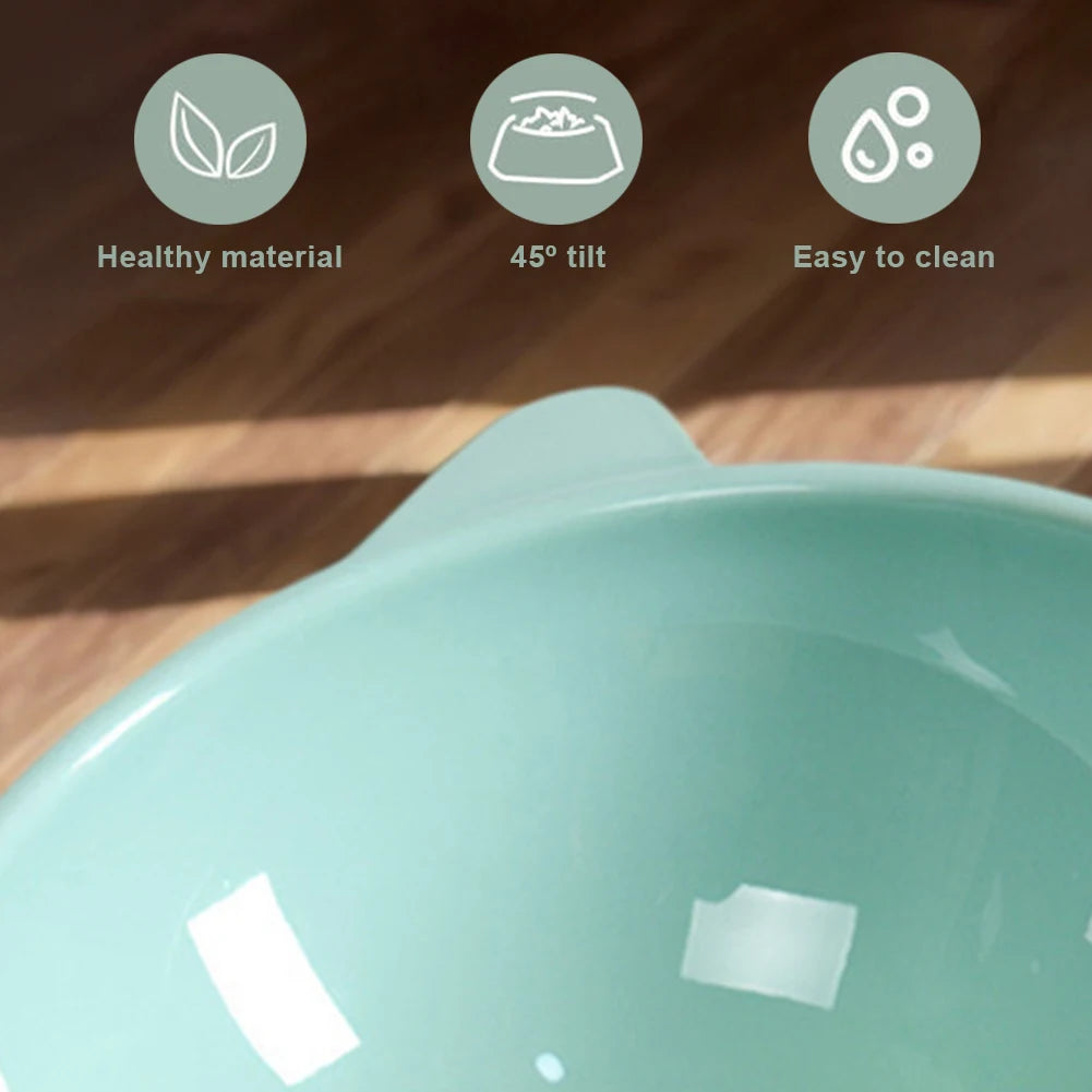 Ergonomic Elevated Cat and Dog Bowl