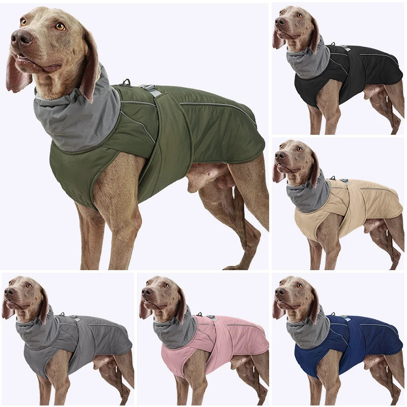 Winter Dog Jacket – Waterproof, Warm & Reflective Coat