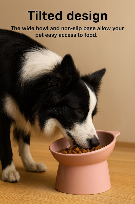 Ergonomic Elevated Cat and Dog Bowl