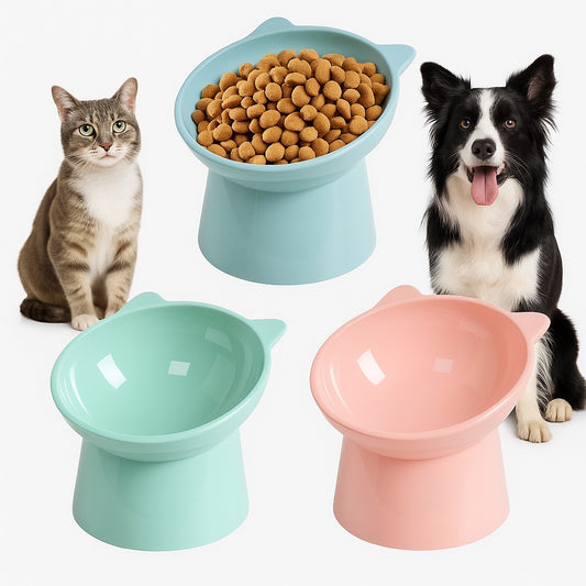 Ergonomic Elevated Cat and Dog Bowl